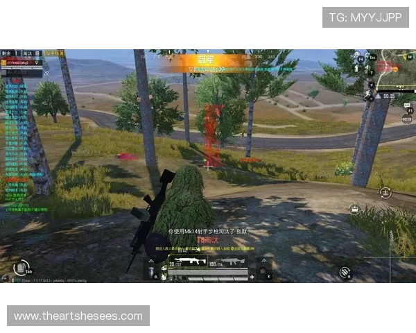 凯时:分析凯时平台的游戏种类丰富多样满足不同玩家的多样需求